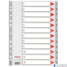 Przekładki plastikowe szare PP A4 1-12 100106 numeryczne ESSELTE