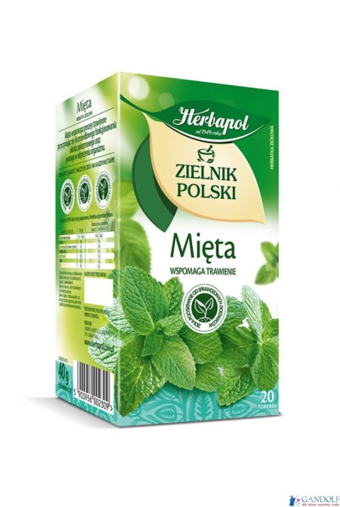 Herbata HERBAPOL ZIELNIK POLSKI Mięta (20 torebek) Herbata HERBAPOL ZIELNIK POLSKI Mięta (20 torebek)