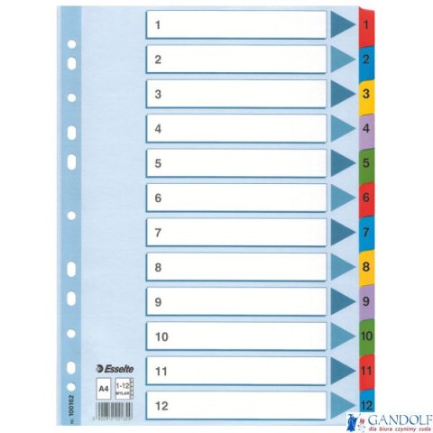Przekładki kartonowe MYLAR A4 1-12 100162 białe ESSELTE Przekładki kartonowe MYLAR A4 1-12 100162 białe ESSELTE
