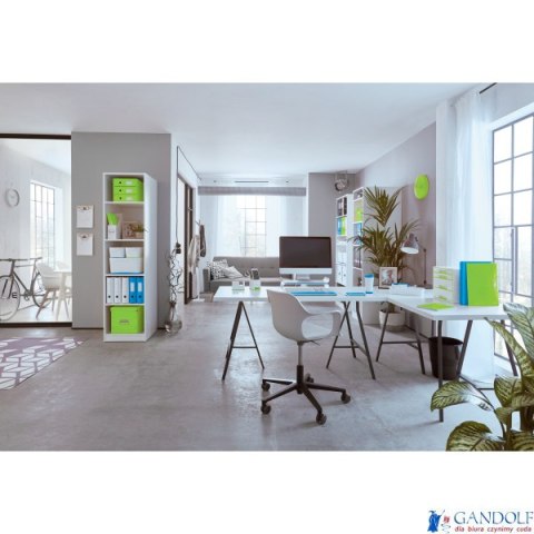 Pudło z przegródkami Leitz C&S, małe, zielone 60570054 -