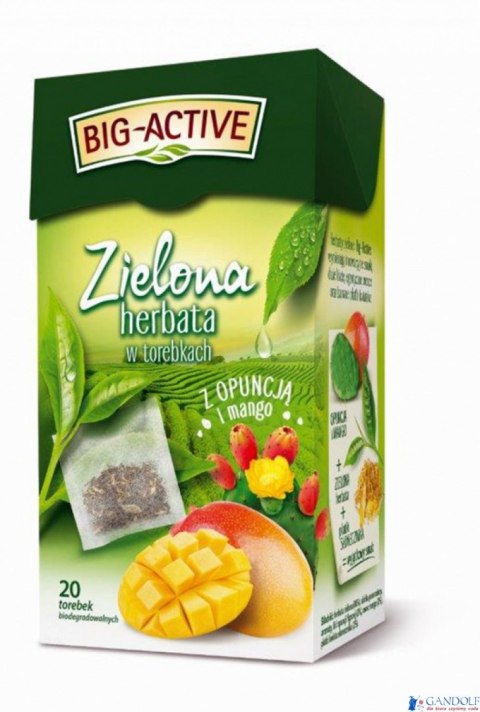 Herbata BIG-ACTIVE OPUNCJA-MANGO zielona 20 kopert/34g Herbata BIG-ACTIVE OPUNCJA-MANGO zielona 20 kopert/34g