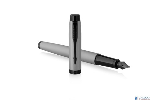 Pióro wieczne (F) IM ACHROMATIC GREY 2127619, giftbox Pióro wieczne (F) IM ACHROMATIC GREY 2127619, giftbox