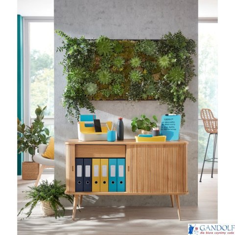 Album ofertowy Leitz Cosy, poszerzony, PP, żółty 46700019 Album ofertowy Leitz Cosy, poszerzony, PP, żółty 46700019