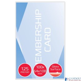 Folie do laminacji oznaczeń bagażu GBC, 125 mic. , 100 szt. 3740433 (X)