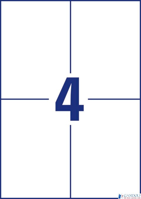 Trwałe etykiety uniwersalne 6120 105x148 30ark. białe, Avery Zweckform