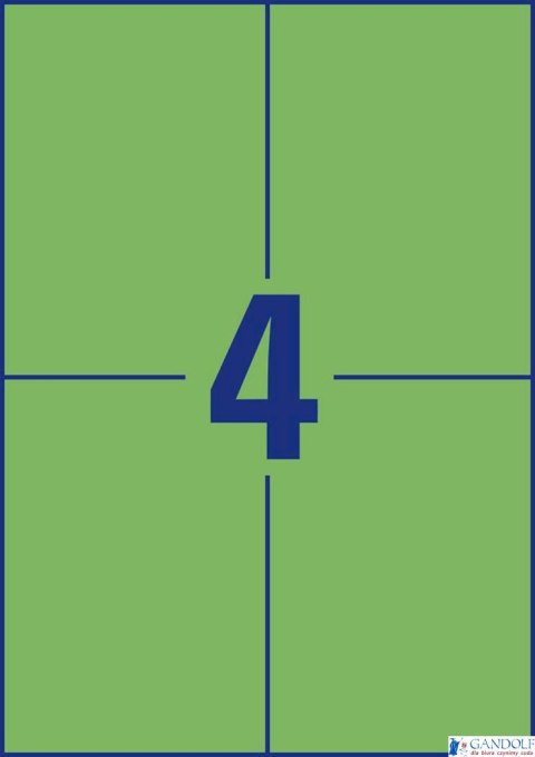 Etykiety zielone 3458 105 x 148 100 ark. trwałe, Avery Zweckform