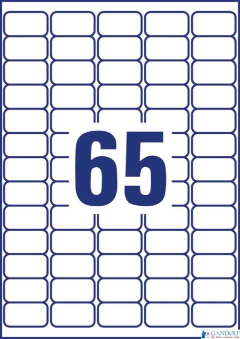 Etykiety adresowe L7551-25 38,1 x 21,2 25 ark. przezroczyste Avery Zweckform