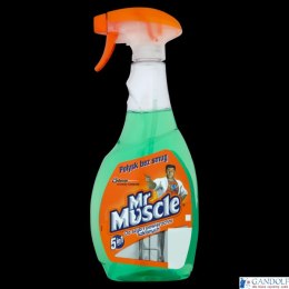 MR.MUSCLE płyn do szyb 500ml z rozpylaczem zielony *139266