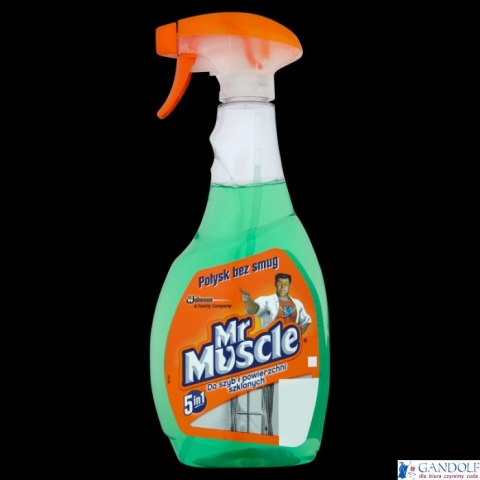 MR.MUSCLE płyn do szyb 500ml z rozpylaczem zielony *139266 MR.MUSCLE płyn do szyb 500ml z rozpylaczem zielony *139266
