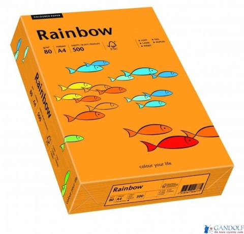 Papier xero kolorowy RAINBOW pomarańczowy R24 88042431