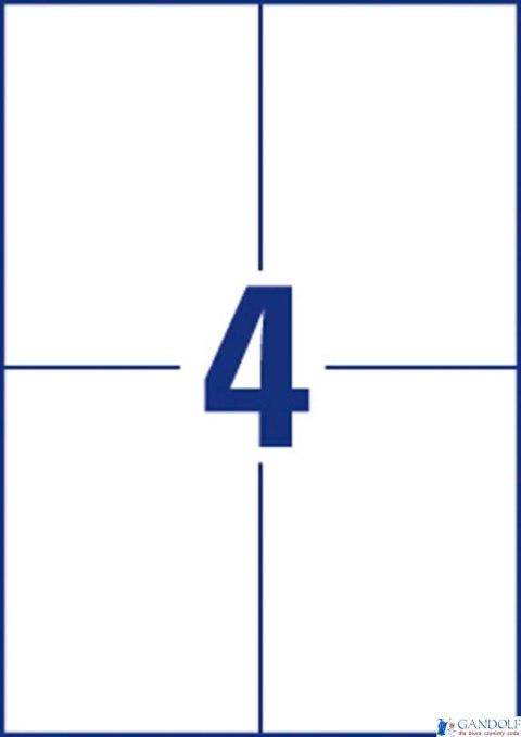 Etykiety uniwersalne ELA024 105 x 148 100 ark trwałe, Avery Zweckform