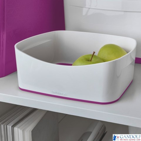 MyBox Pojemnik bez pokrywki, biało-fioletowy 52571062