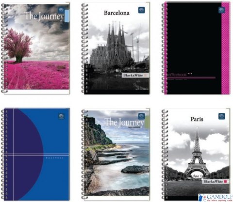 Kołozeszyt A4 100k kratka z perforacją kolor margines mix INTERDRUK