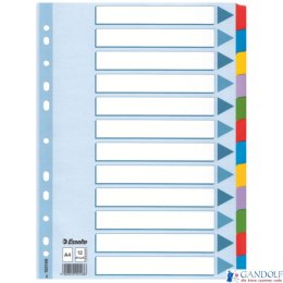 Przekładki, kolorowy karton, karta opisowa Mylar A4, Esselte, 12 kart, , 100169