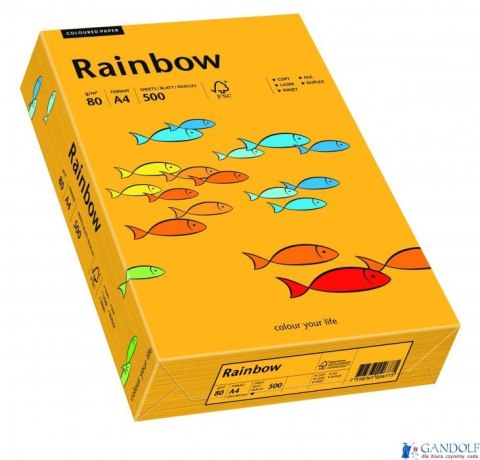 Papier xero kolorowy RAINBOW jasnopomarańczowy R22 88042409