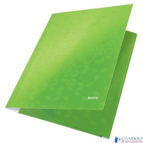 Teczka kartonowa z gumką LEITZ jasno zielona WOW 39820054