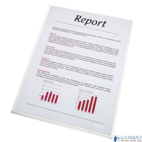Ofertówki krystaliczne bezbarwne A4 150mic (25szt) ESSELTE 55430