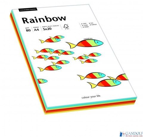 Papier xero kolorowy RAINBOW mix Intensywny odcień 88043188 Papier xero kolorowy RAINBOW mix Intensywny odcień 88043188