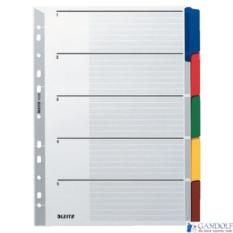Przekładki z kartonu A4 Leitz, 5 kart 43200000