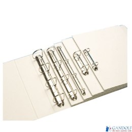 Segregator ofertowy szer. grzbietu 65mm/mech. 40mm, czerwony Esselte, 49761 (X)