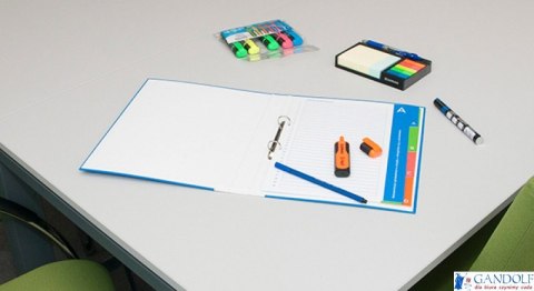 Segregator ringowy do akt osobowych niebieski A4/2R/20mm DONAU 3731011PL-99