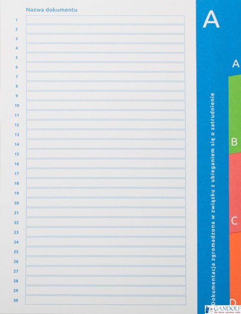 Segregator ringowy do akt osobowych niebieski A4/2R/20mm DONAU 3731011PL-99