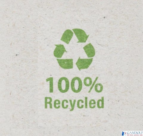 Taśma biurowa SCOTCH Magic Greener Choice (9-1933R14C38), matowa, 19mm, 33m, 14szt., podajnik C-38 GRATIS