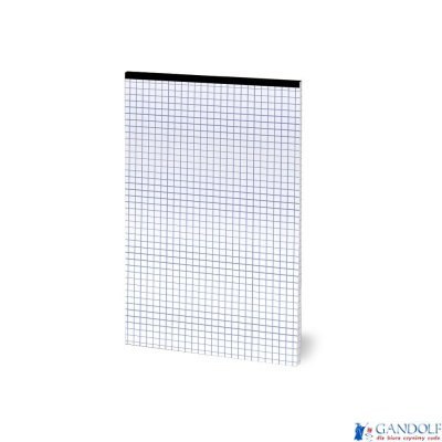 Blok notatnikowy bez okładki Color 2.0 A5 50k 70g kratka z mikroperforacją 400146155 TOP-2000