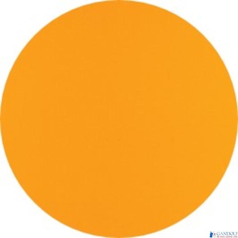 Kołonotatnik A5 80 kartek, linia / tagi, INTERNATIONAL, OXFORD, 100102680 (X)