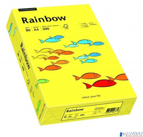 Papier xero kolorowy RAINBOW słonecznożółty 80g R14 88042319 Papier xero kolorowy RAINBOW słonecznożółty 80g R14 88042319