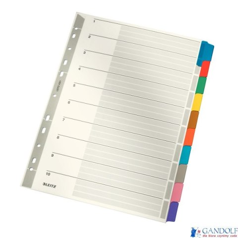 Przekładki z kartonu A4 Leitz, 10 kart 43210000