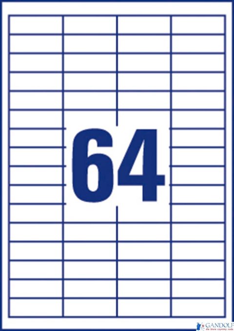 Etykiety uniwersalne ELA050 48,5 x 16,9 100 ark. Economy Europe100 by Avery Zweckform