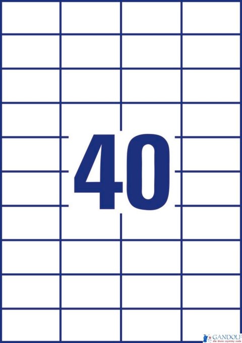 Trwałe etykiety uniwersalne 3651 52,5x29,7 100ar Avery Zweckform