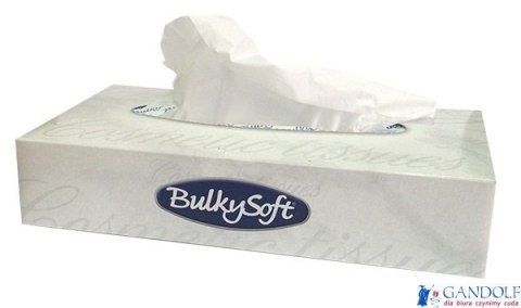Chusteczki higieniczne 100sztuk BULKYSOFT Chusteczki higieniczne 100sztuk BULKYSOFT