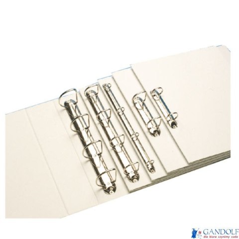 Segregator PANORAMA A4 4DR/40 63mm biały ofertowy ESSELTE 49704 Segregator PANORAMA A4 4DR/40 63mm biały ofertowy ESSELTE 49704