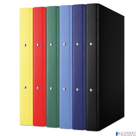 Segregator ringowy A4/2R/20mm 3732001PL-11 żółty