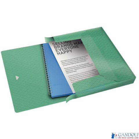 Teczka z gumką Esselte ColourIce, poszerzana, zielony, , 626265 Teczka z gumką Esselte ColourIce, poszerzana, zielony, , 626265