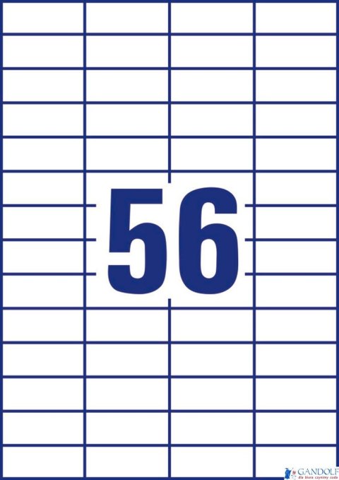 Etykiety uniwersalne 3668 52,5 x 21,2 100 ark. Trwałe, Avery Zweckform (X)