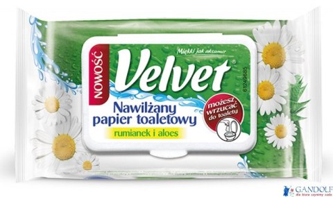 Papier toaletowy VELVET nawilżany (42) RUMIANKOWY Papier toaletowy VELVET nawilżany (42) RUMIANKOWY