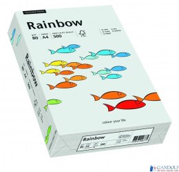 Papier xero kolorowy RAINBOW jasnoszary R93 88042783