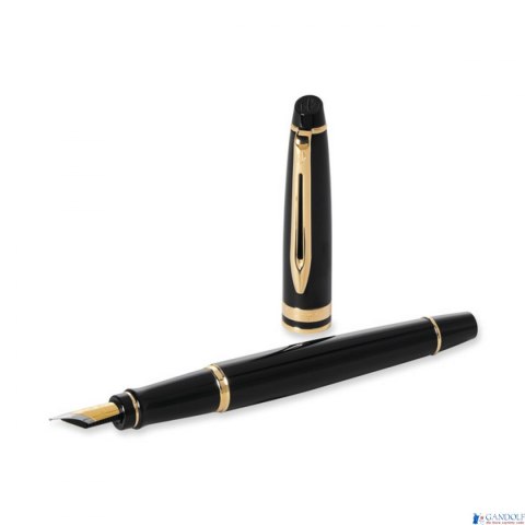 Pióro wieczne (F) EXPERT CZARNY GT WATERMAN S0951640 Pióro wieczne (F) EXPERT CZARNY GT WATERMAN S0951640