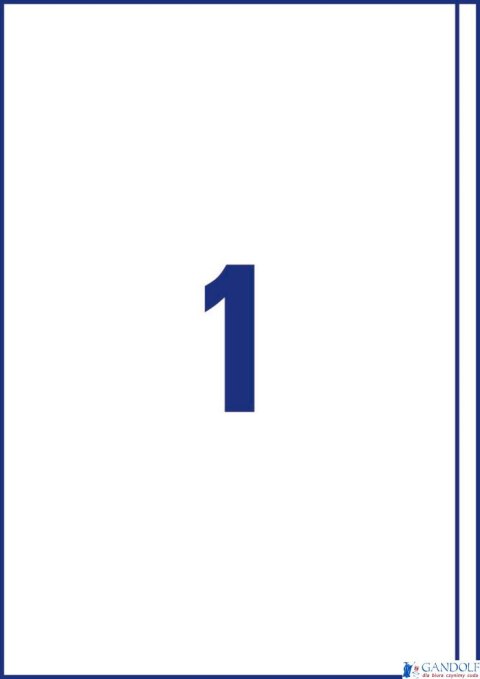 Trwałe etykiety uniwersalne 3418 200x297 100ark Avery Zweckform