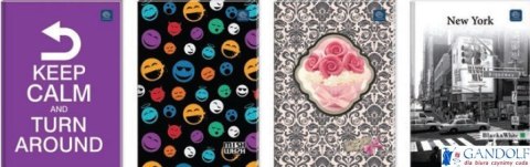 Brulion A5 96k gładki INTERDRUK