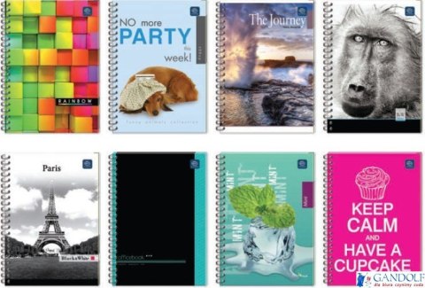 Kołozeszyt A5 100kar T.O.kolorowe marginesy INTERDRUK