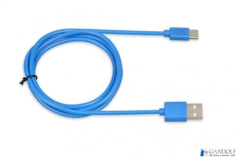 Kabel do transferu danych i zasilania USB 2w1 TYP C niebieski 1m (2A) Ibox IKUMTCB