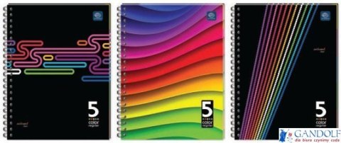 Kołozeszyt B5 160k 5kol regist miękka oprawa INTERDRUK