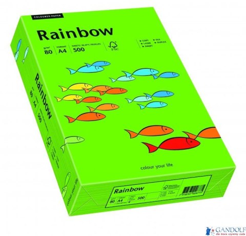 Papier xero kolorowy RAINBOW ciemnozielony R78 88042673 Papier xero kolorowy RAINBOW ciemnozielony R78 88042673