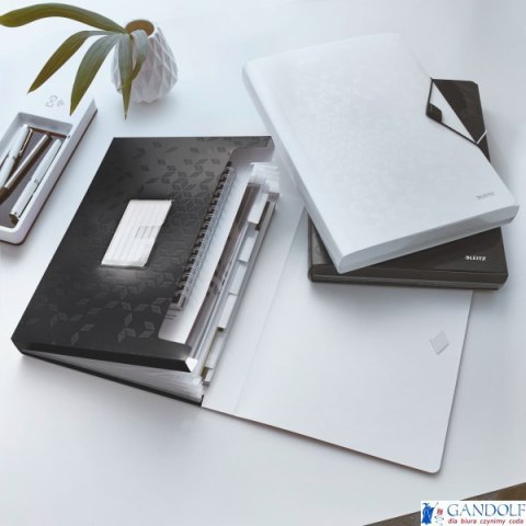 Teczka z 6 przegródkami PP Leitz WOW, czarna 45890095