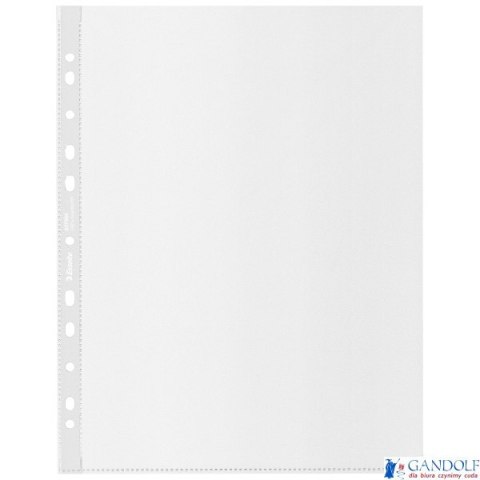 Koszulka groszkowa Recycled Premium PP 100 mic. A4, 627504, MAXI , 50 szt. Esselte 627504