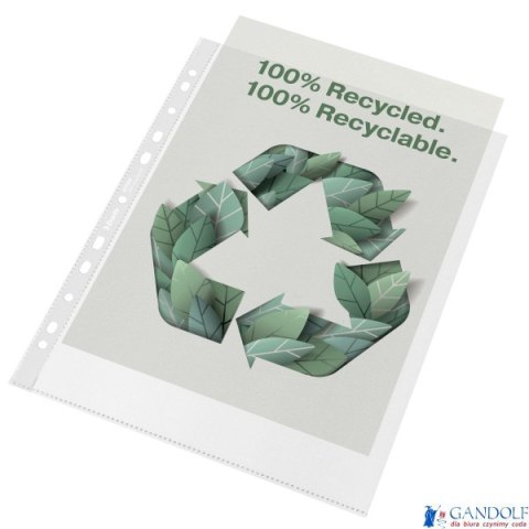 Koszulka groszkowa Recycled Premium PP 100 mic. A4, 627504, MAXI , 50 szt. Esselte 627504